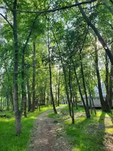 Юрта-парк на острове - 61