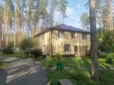 Сосновый бор - 22