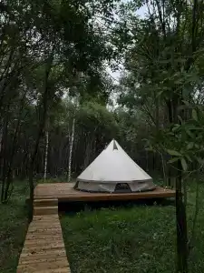 Беловодье - 38