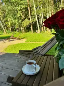 Южный Бор - 25