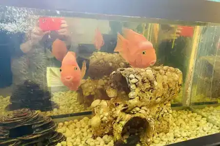 Ksanta's House - 3