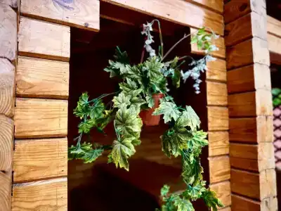 Тет-а-Тет - 42