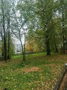 Гермес на Кутузова 34 - 10