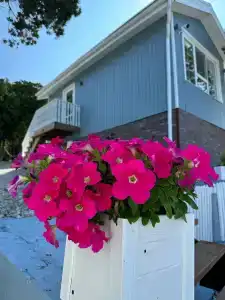 МореДом - 9