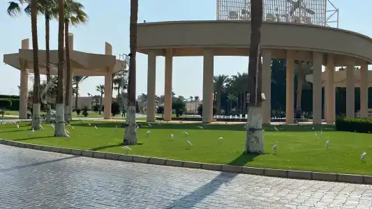 Xperience Kiroseiz AquaPark Premier-Naama Bay - 47