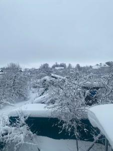 Райский уголок - 37