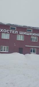 Шишкино - 7