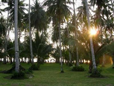 Koh Neverland Beach - 24