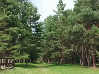 Русский берег - 58