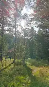 Ологужан - 45