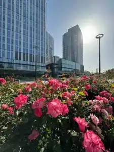 InterContinental - 9