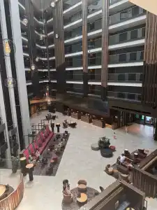 Sheraton Grand Tbilisi Metechi Palace - 6