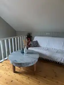 Пенеснарь - 43