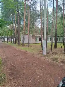 Лесная cказка - 4
