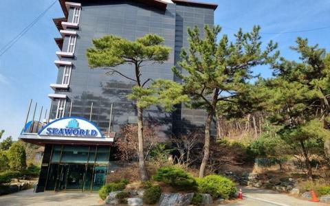 Seaworld - 36