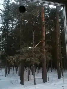 Домики в лесу - 38