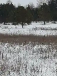 Still - 5