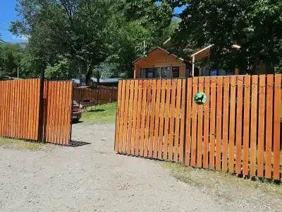 Сакура - 4
