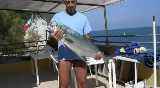 Il Parco Sirolo - 17