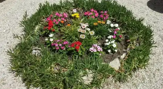 Il Parco Sirolo - 14