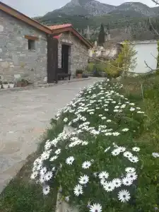 Bahab Guest House - 6