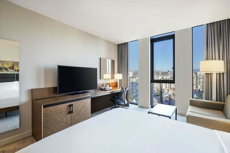Hilton Garden Inn Tbilisi Chavchavadze - 29