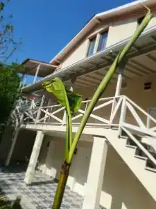 Kadifeli Konak - 21