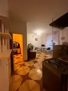 Сосна и Пальмы - 31