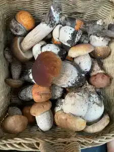 Домик в деревне - 6