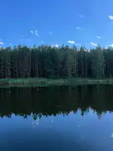 Медикал Спа Резорт Альфа Радон - 65