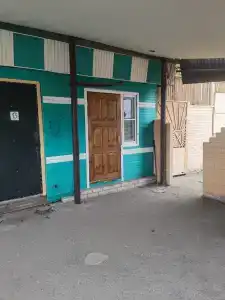 Ной - 20