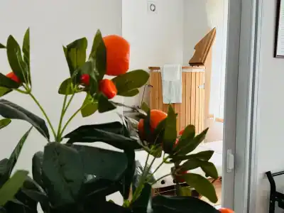 Азовский - 4