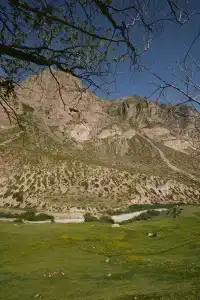 Сафари Парк - 17