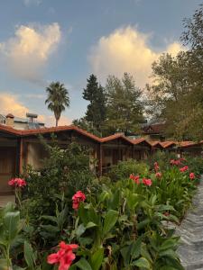 Likya Adrasan Otel - 47