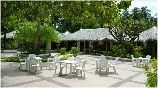 Biyadhoo Island Resort - 22