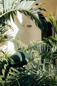 Muaré Tulum - 14