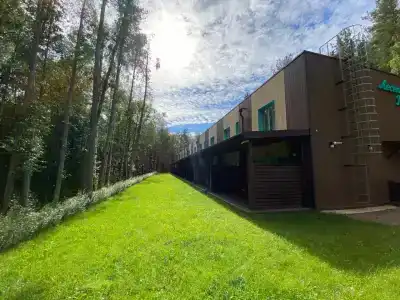 Лесной ручей - 30