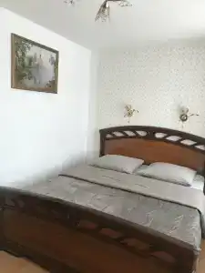 Купеческий на Ленина - 1