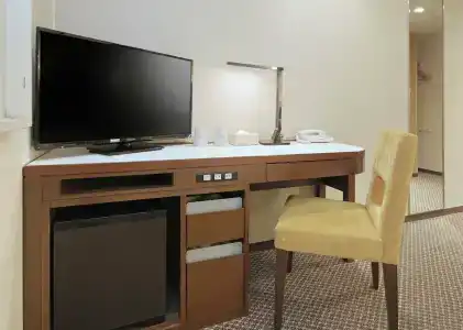 Keio Presso Inn Shinjuku - 22