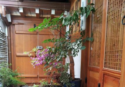 Hanok 24 Gyeongbokgung - 44