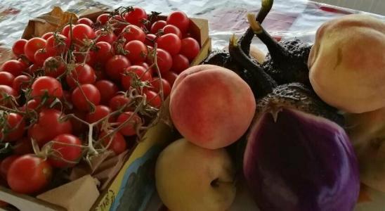 La Mimosa Case Vacanze - 49