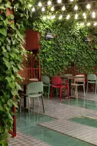 Zeg - 12