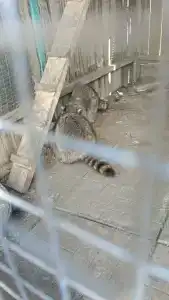 База отдыха у Михалыча - 10