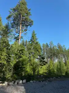 Частный дом с панорамными окнами - 45