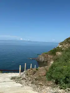 Полосатик - 14