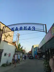 Магнолия - 1