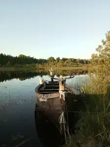 Бесов нос. у Антона - 23