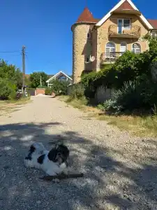 КристОля - 7