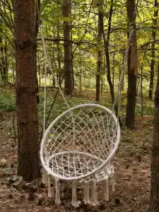 Сосны. Пространствие - 3