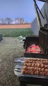 Жимолость - 44
